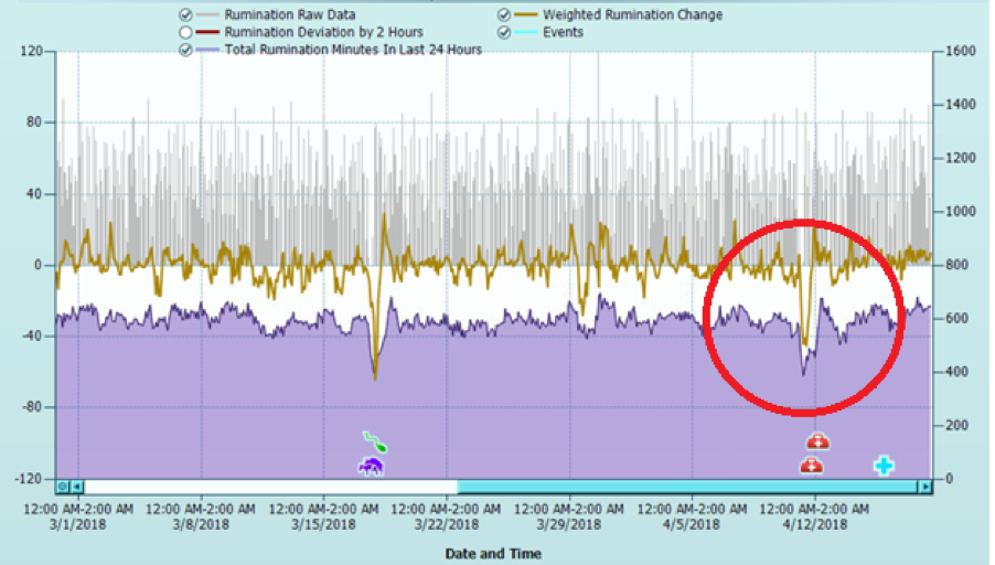 Graf přežvykování krávy se zdravotním problémem, který byl úspěšně léčen.