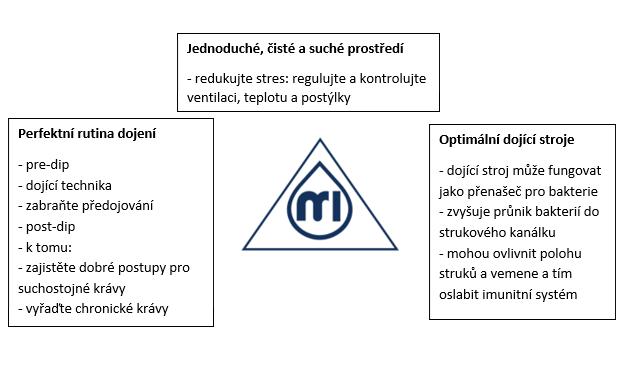 Trojúhelník mastitidy