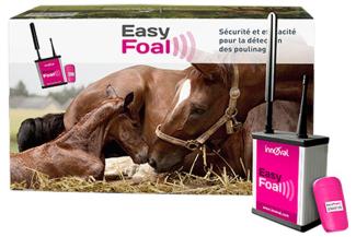 EasyFoal - Systém detekce hřebení